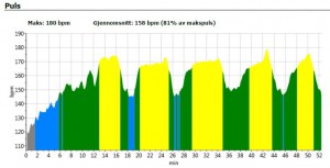 puls